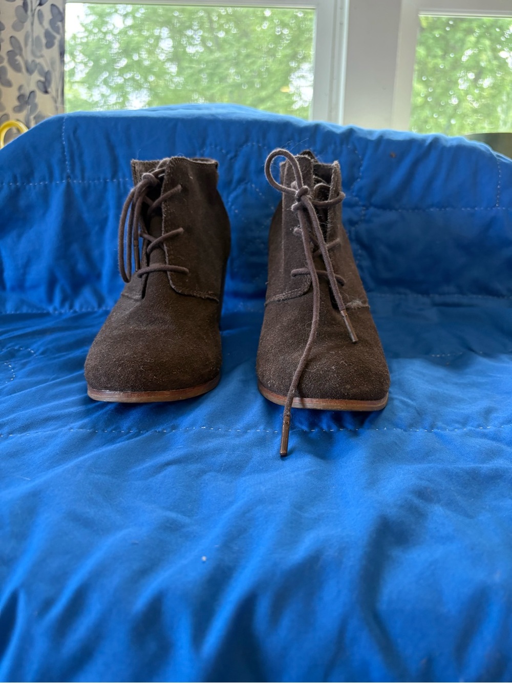 Toms Dark Brown Suede Lace-Up Ankle Booties
